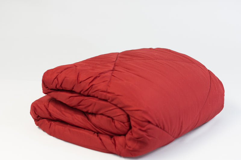 Solid Queen Microfiber Comforter