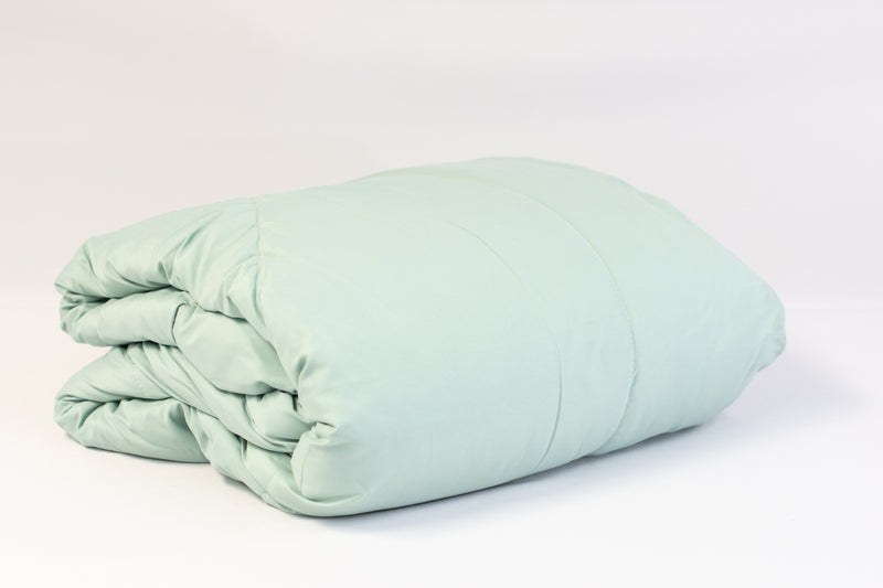 Solid Queen Microfiber Comforter